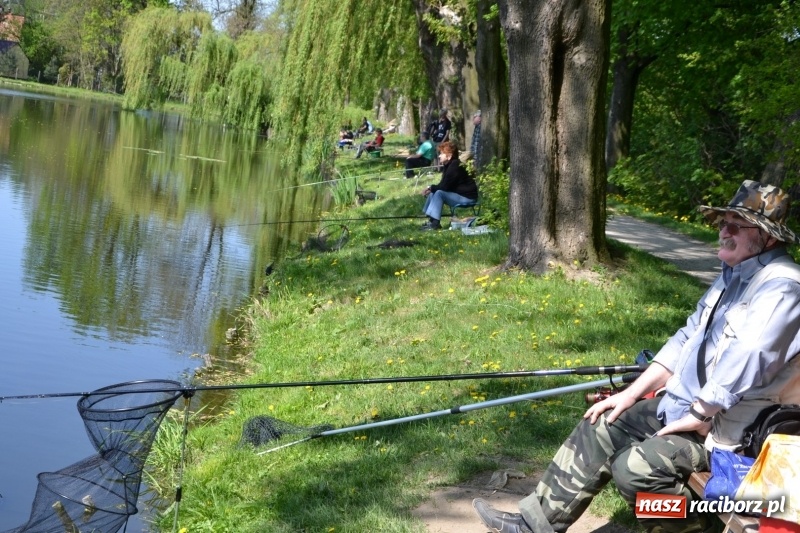 Zdjęcie w galerii na portalu naszraciborz.pl: Sezon wędkarski na Trzecioku rozpoczęty  wiadomości z regionu