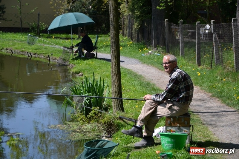 Zdjęcie w galerii na portalu naszraciborz.pl: Sezon wędkarski na Trzecioku rozpoczęty  wiadomości z regionu