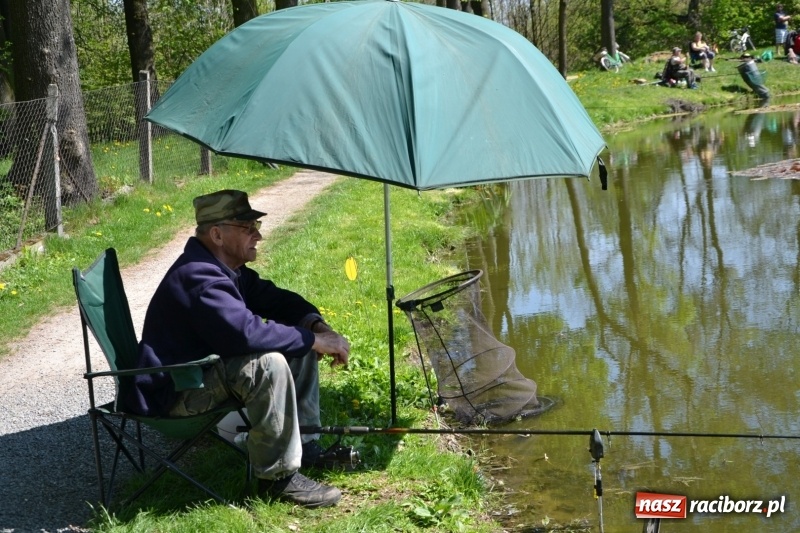 Zdjęcie w galerii na portalu naszraciborz.pl: Sezon wędkarski na Trzecioku rozpoczęty  wiadomości z regionu