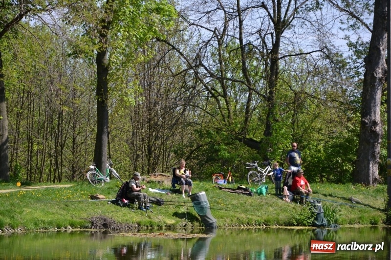Zdjęcie w galerii na portalu naszraciborz.pl: Sezon wędkarski na Trzecioku rozpoczęty  wiadomości z regionu