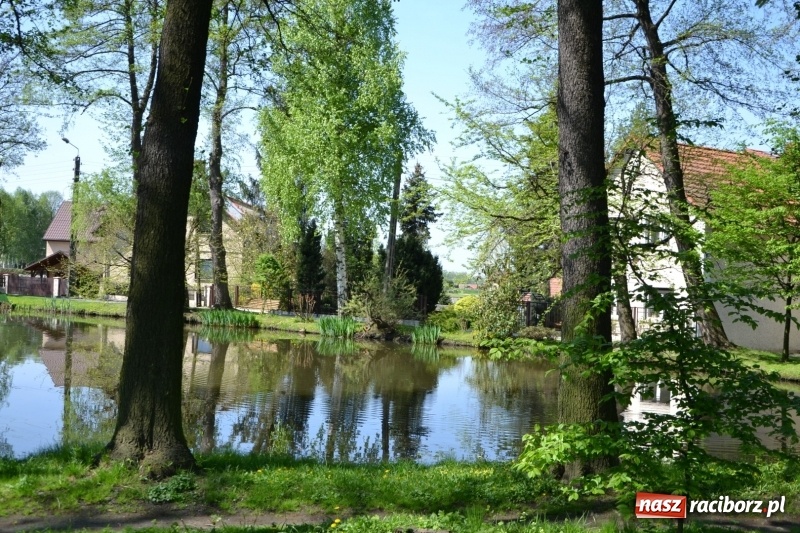 Zdjęcie w galerii na portalu naszraciborz.pl: Sezon wędkarski na Trzecioku rozpoczęty  wiadomości z regionu