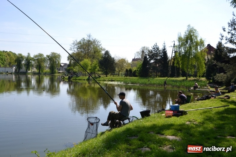 Zdjęcie w galerii na portalu naszraciborz.pl: Sezon wędkarski na Trzecioku rozpoczęty  wiadomości z regionu