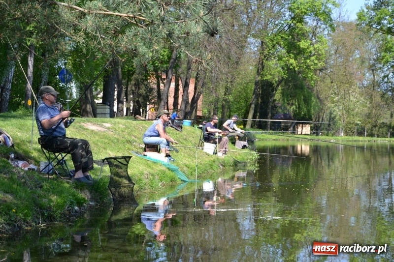Zdjęcie w galerii na portalu naszraciborz.pl: Sezon wędkarski na Trzecioku rozpoczęty  wiadomości z regionu