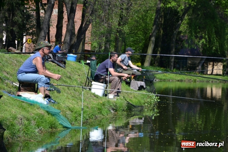 Zdjęcie w galerii na portalu naszraciborz.pl: Sezon wędkarski na Trzecioku rozpoczęty  wiadomości z regionu