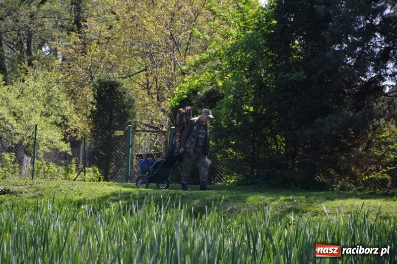 Zdjęcie w galerii na portalu naszraciborz.pl: Sezon wędkarski na Trzecioku rozpoczęty  wiadomości z regionu