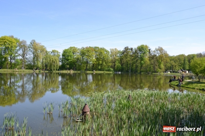 Zdjęcie w galerii na portalu naszraciborz.pl: Sezon wędkarski na Trzecioku rozpoczęty  wiadomości z regionu