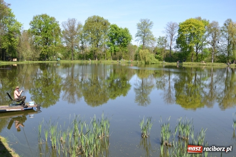 Zdjęcie w galerii na portalu naszraciborz.pl: Sezon wędkarski na Trzecioku rozpoczęty  wiadomości z regionu