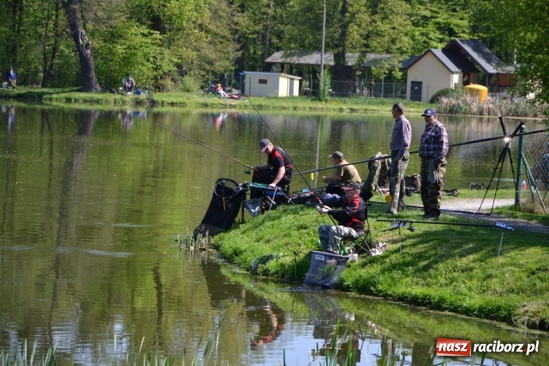 Zdjęcie w galerii na portalu naszraciborz.pl: Sezon wędkarski na Trzecioku rozpoczęty  wiadomości z regionu