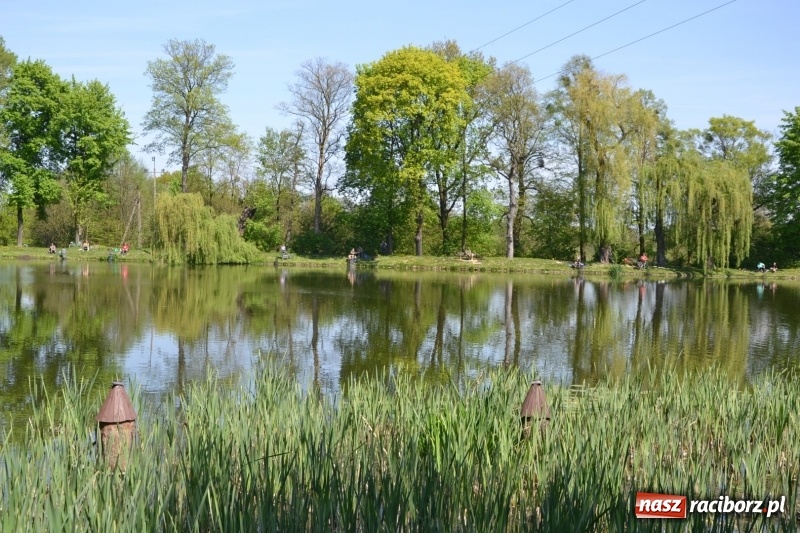 Zdjęcie w galerii na portalu naszraciborz.pl: Sezon wędkarski na Trzecioku rozpoczęty  wiadomości z regionu