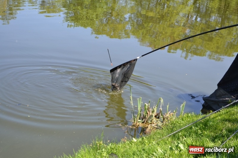 Zdjęcie w galerii na portalu naszraciborz.pl: Sezon wędkarski na Trzecioku rozpoczęty  wiadomości z regionu