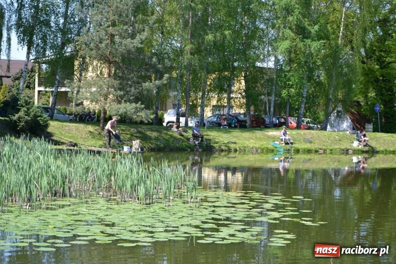 Zdjęcie w galerii na portalu naszraciborz.pl: Sezon wędkarski na Trzecioku rozpoczęty  wiadomości z regionu