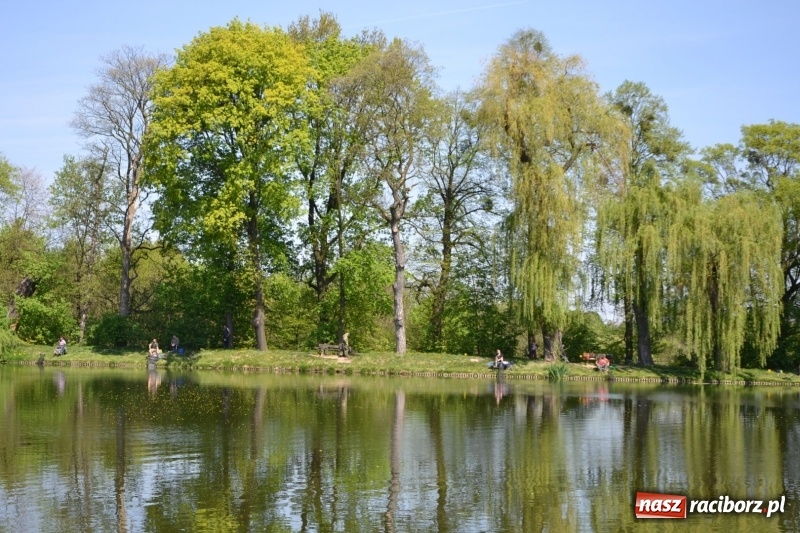 Zdjęcie w galerii na portalu naszraciborz.pl: Sezon wędkarski na Trzecioku rozpoczęty  wiadomości z regionu