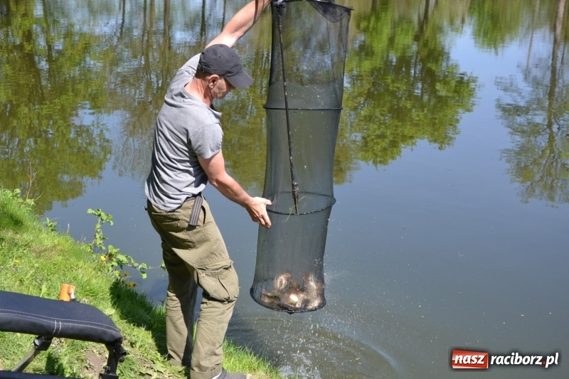 Zdjęcie w galerii na portalu naszraciborz.pl: Sezon wędkarski na Trzecioku rozpoczęty  wiadomości z regionu