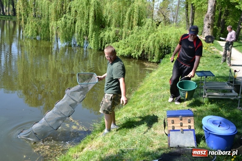 Zdjęcie w galerii na portalu naszraciborz.pl: Sezon wędkarski na Trzecioku rozpoczęty  wiadomości z regionu