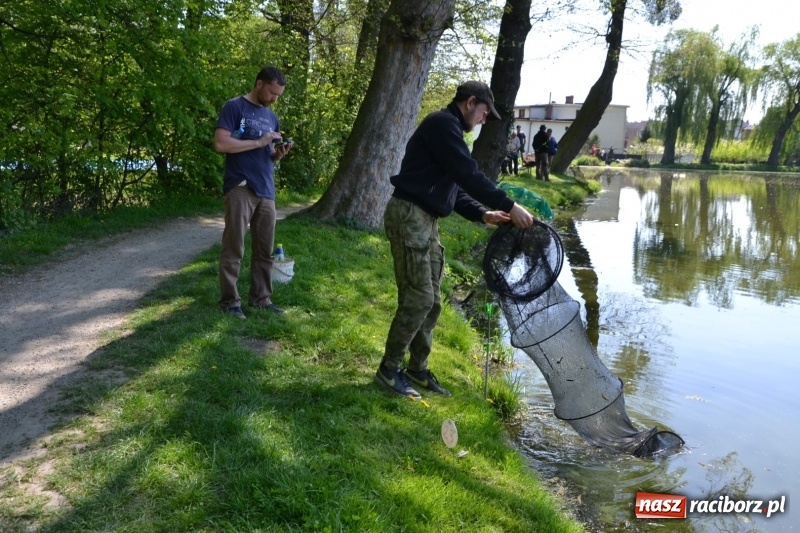 Zdjęcie w galerii na portalu naszraciborz.pl: Sezon wędkarski na Trzecioku rozpoczęty  wiadomości z regionu