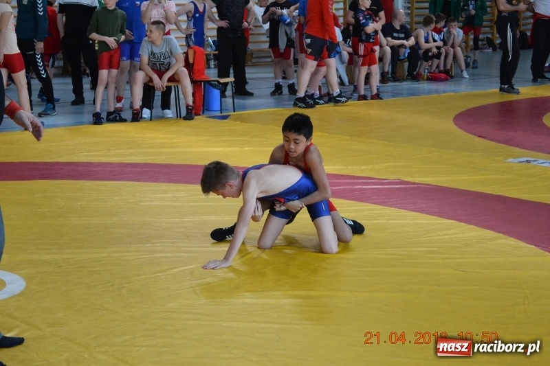 Zdjęcie w galerii na portalu naszraciborz.pl: Medale zapaśników raciborskiej Unii na zawodach w Janowie Lubelskim wiadomości z regionu