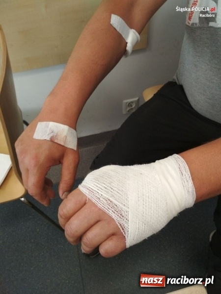 Zdjęcie w galerii na portalu naszraciborz.pl: Nożownik z Rud zatrzymany przez policję. Zaatakował podczas biesiady  wiadomości z regionu