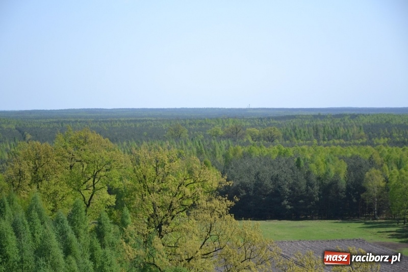 Zdjęcie w galerii na portalu naszraciborz.pl: Dwie dekady współpracy z czeskimi partnerami wiadomości z regionu