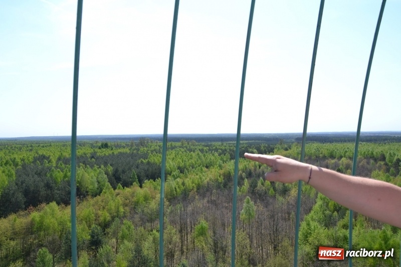 Zdjęcie w galerii na portalu naszraciborz.pl: Dwie dekady współpracy z czeskimi partnerami wiadomości z regionu