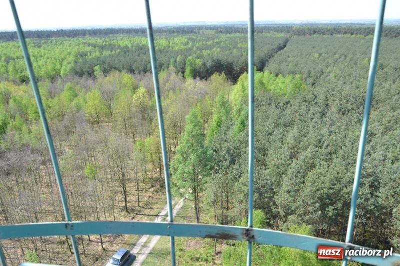 Zdjęcie w galerii na portalu naszraciborz.pl: Dwie dekady współpracy z czeskimi partnerami wiadomości z regionu