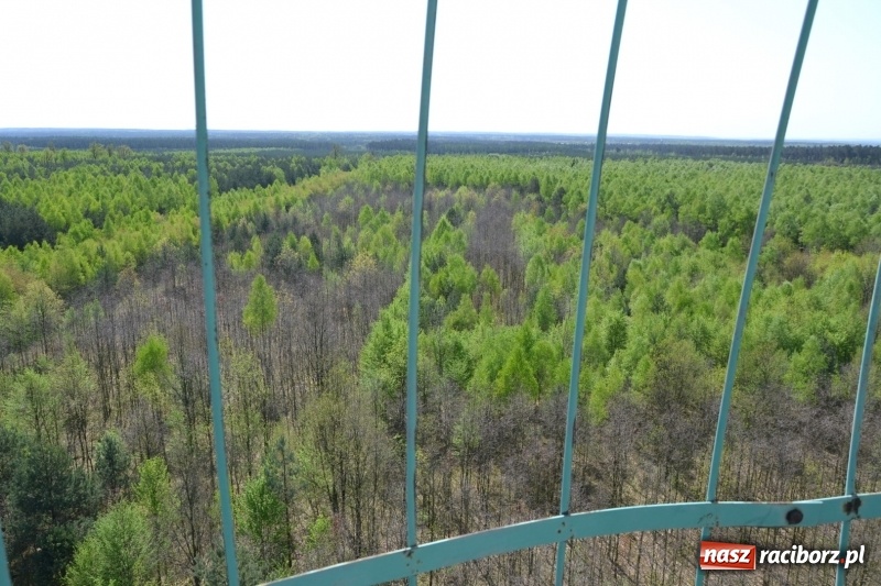 Zdjęcie w galerii na portalu naszraciborz.pl: Dwie dekady współpracy z czeskimi partnerami wiadomości z regionu