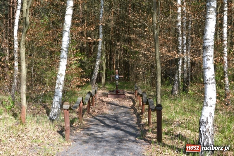 Zdjęcie w galerii na portalu naszraciborz.pl: Dwie dekady współpracy z czeskimi partnerami wiadomości z regionu