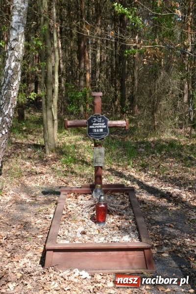 Zdjęcie w galerii na portalu naszraciborz.pl: Dwie dekady współpracy z czeskimi partnerami wiadomości z regionu