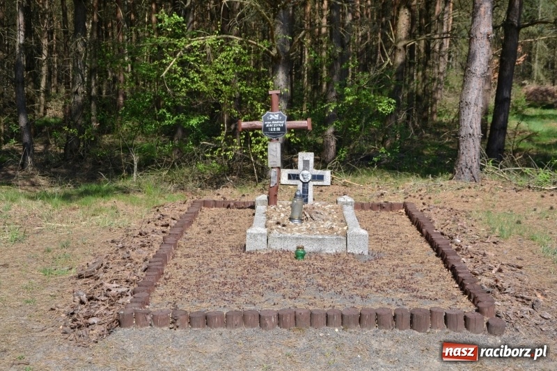 Zdjęcie w galerii na portalu naszraciborz.pl: Dwie dekady współpracy z czeskimi partnerami wiadomości z regionu