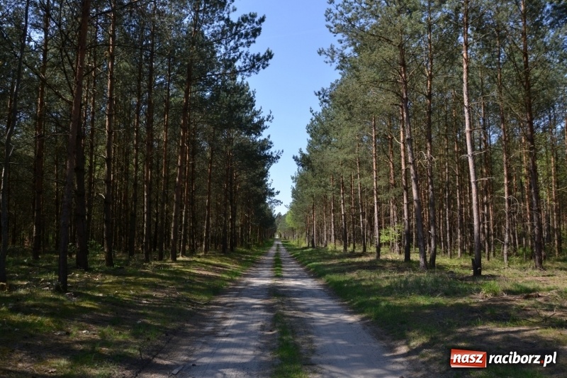 Zdjęcie w galerii na portalu naszraciborz.pl: Dwie dekady współpracy z czeskimi partnerami wiadomości z regionu