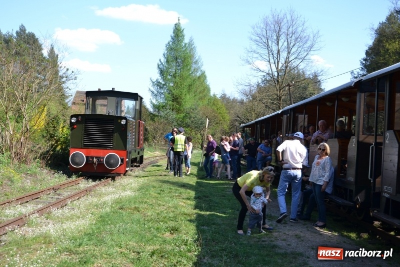 Zdjęcie w galerii na portalu naszraciborz.pl: Dwie dekady współpracy z czeskimi partnerami wiadomości z regionu
