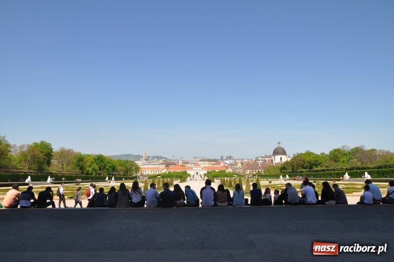 Zdjęcie w galerii na portalu naszraciborz.pl: Muzyka i secesja, czyli uczniowie I LO po raz kolejny w Wiedniu wiadomości z regionu