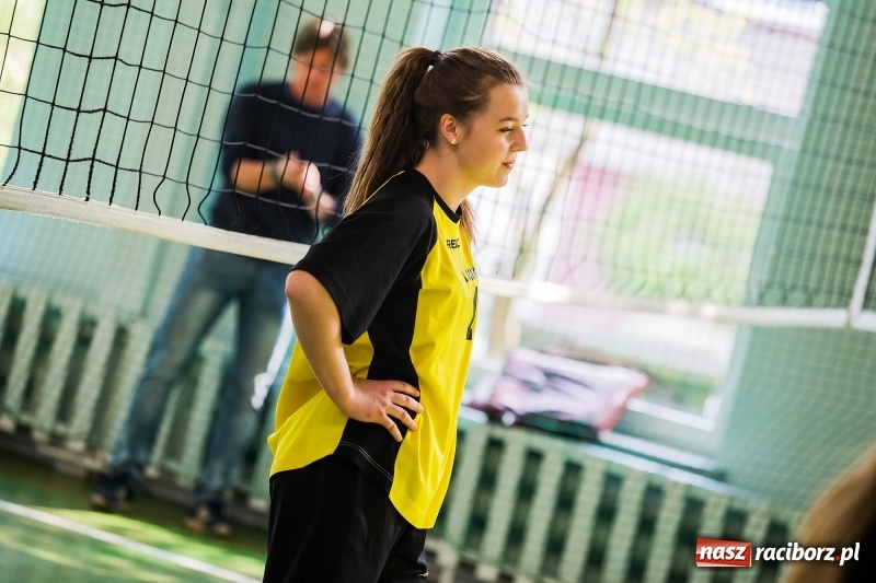 Zdjęcie w galerii na portalu naszraciborz.pl: Finał rejonowy w siatkówce dziewczyn szkół podstawowych wiadomości z regionu