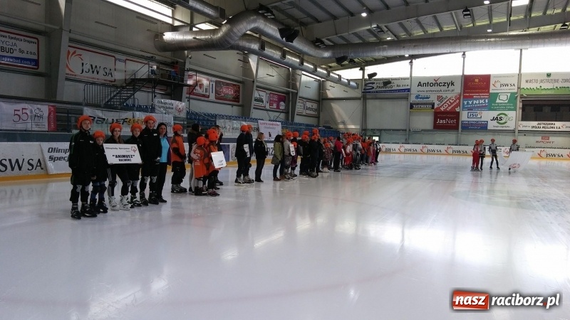 Zdjęcie w galerii na portalu naszraciborz.pl: Zawodnicy Animusz Racibórz na XIX Mityngu w łyżwiarstwie szybkim wiadomości z regionu