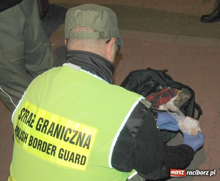 Zdjęcie w galerii na portalu naszraciborz.pl: Raciborscy pogranicznicy zatrzymali dilerów kokainy  wiadomości z regionu