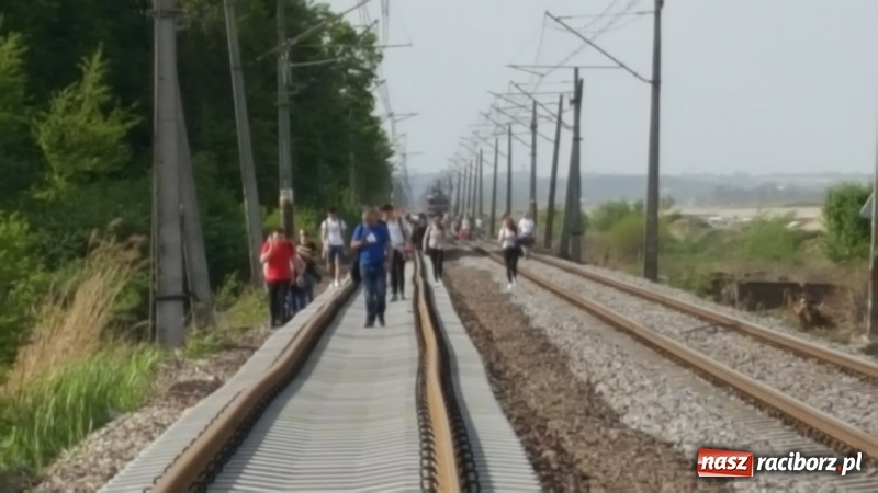 Zdjęcie w galerii na portalu naszraciborz.pl: Na torowisku linii Racibórz-Chałupki pojawiła się wczoraj spora grupa osób wiadomości z regionu