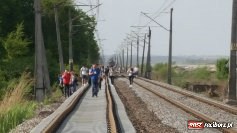 Zdjęcie w galerii na portalu naszraciborz.pl: Na torowisku linii Racibórz-Chałupki pojawiła się wczoraj spora grupa osób wiadomości z regionu