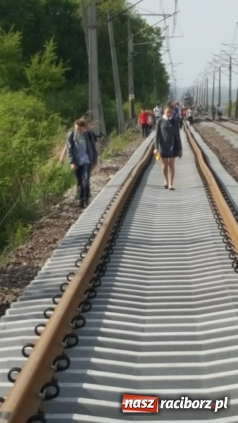 Zdjęcie w galerii na portalu naszraciborz.pl: Na torowisku linii Racibórz-Chałupki pojawiła się wczoraj spora grupa osób wiadomości z regionu