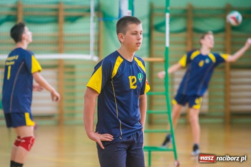 Zdjęcie w galerii na portalu naszraciborz.pl: Siatkarze SP18 awansowali do półfinału wojewódzkiego wiadomości z regionu