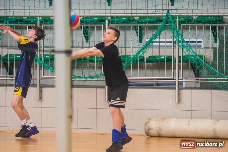 Zdjęcie w galerii na portalu naszraciborz.pl: Siatkarze SP18 awansowali do półfinału wojewódzkiego wiadomości z regionu