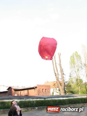 Zdjęcie w galerii na portalu naszraciborz.pl: Wielkie sprzątanie parku jordanowskiego wiadomości z regionu