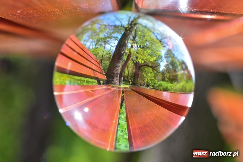 Zdjęcie w galerii na portalu naszraciborz.pl: Wiosenne przebudzenie Raciborza z innej perspektywy wiadomości z regionu