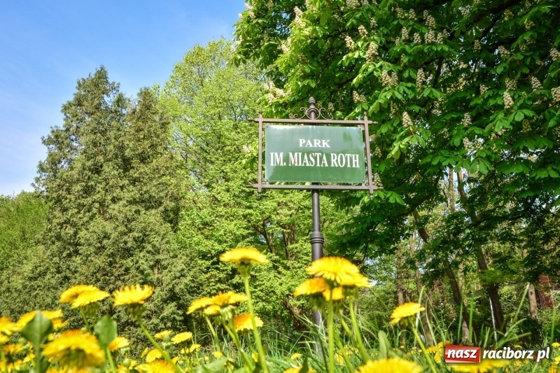 Zdjęcie w galerii na portalu naszraciborz.pl: Wiosenne przebudzenie Raciborza z innej perspektywy wiadomości z regionu