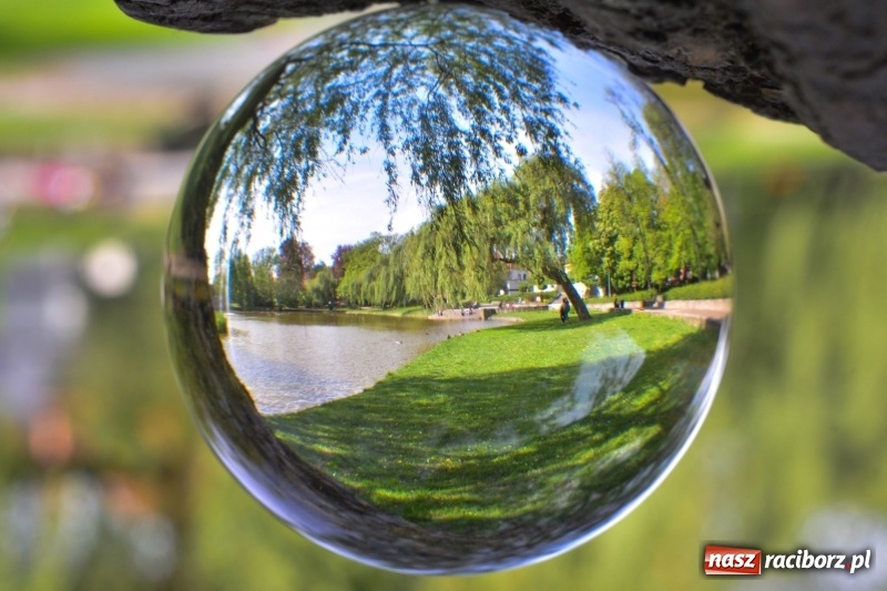 Zdjęcie w galerii na portalu naszraciborz.pl: Wiosenne przebudzenie Raciborza z innej perspektywy wiadomości z regionu