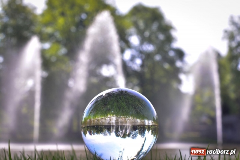 Zdjęcie w galerii na portalu naszraciborz.pl: Wiosenne przebudzenie Raciborza z innej perspektywy wiadomości z regionu