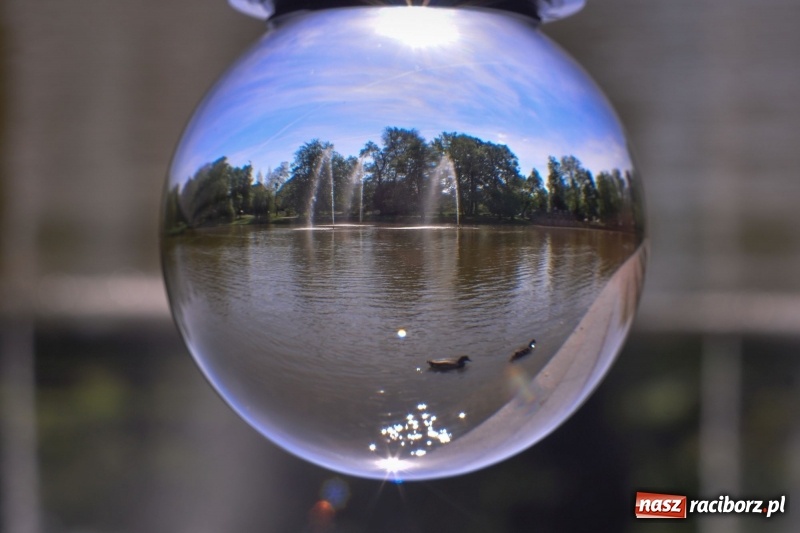 Zdjęcie w galerii na portalu naszraciborz.pl: Wiosenne przebudzenie Raciborza z innej perspektywy wiadomości z regionu