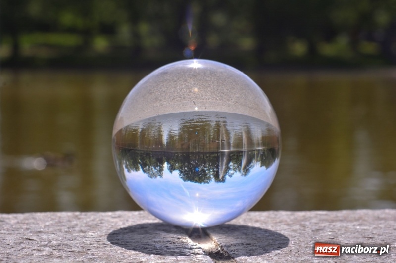 Zdjęcie w galerii na portalu naszraciborz.pl: Wiosenne przebudzenie Raciborza z innej perspektywy wiadomości z regionu