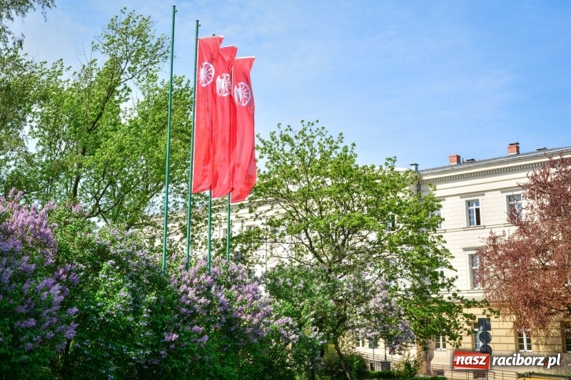 Zdjęcie w galerii na portalu naszraciborz.pl: Wiosenne przebudzenie Raciborza z innej perspektywy wiadomości z regionu