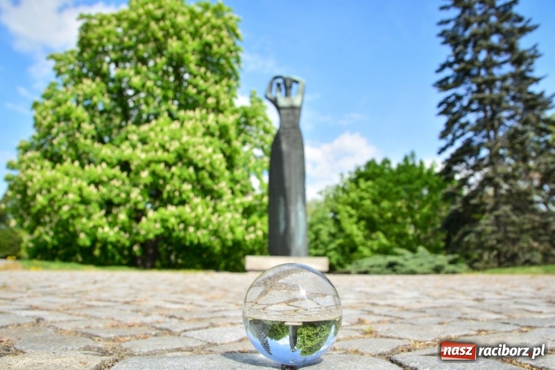 Zdjęcie w galerii na portalu naszraciborz.pl: Wiosenne przebudzenie Raciborza z innej perspektywy wiadomości z regionu