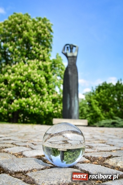 Zdjęcie w galerii na portalu naszraciborz.pl: Wiosenne przebudzenie Raciborza z innej perspektywy wiadomości z regionu