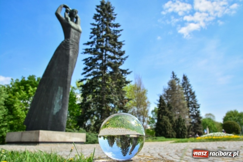 Zdjęcie w galerii na portalu naszraciborz.pl: Wiosenne przebudzenie Raciborza z innej perspektywy wiadomości z regionu